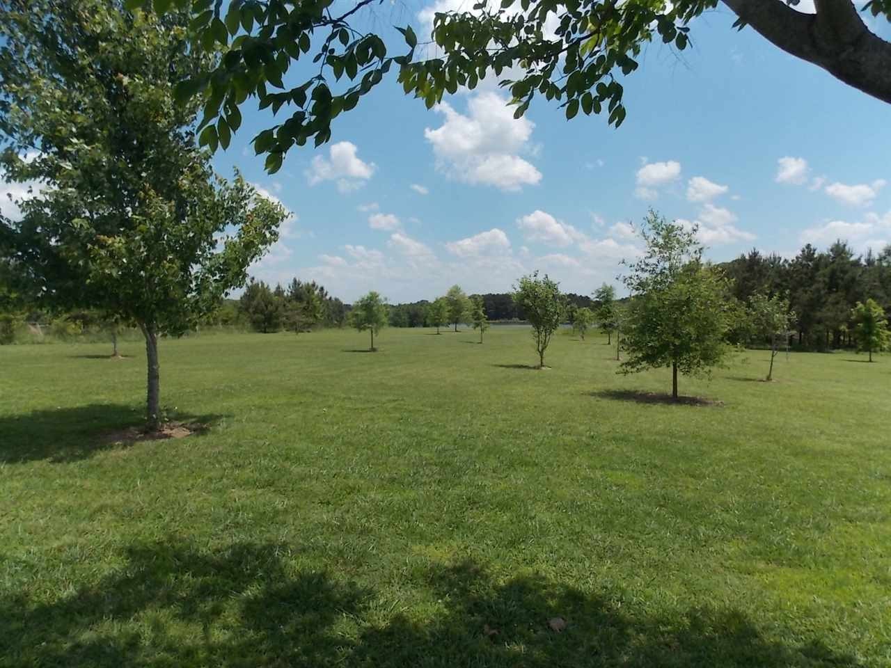 1480 Livingston Vernon Road Flora, MS 39071 - Photo 19 of 23 Photo 19
