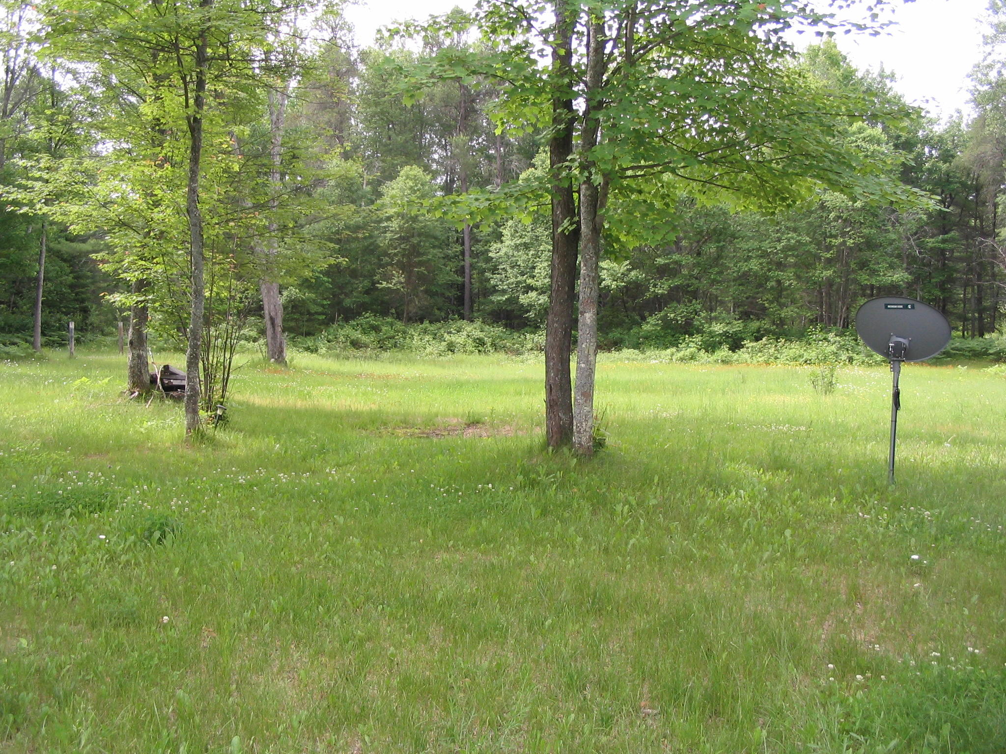 7385 West Batterson Road Frederic, MI 49733 - Photo 5 of 21 Gallery Image 5