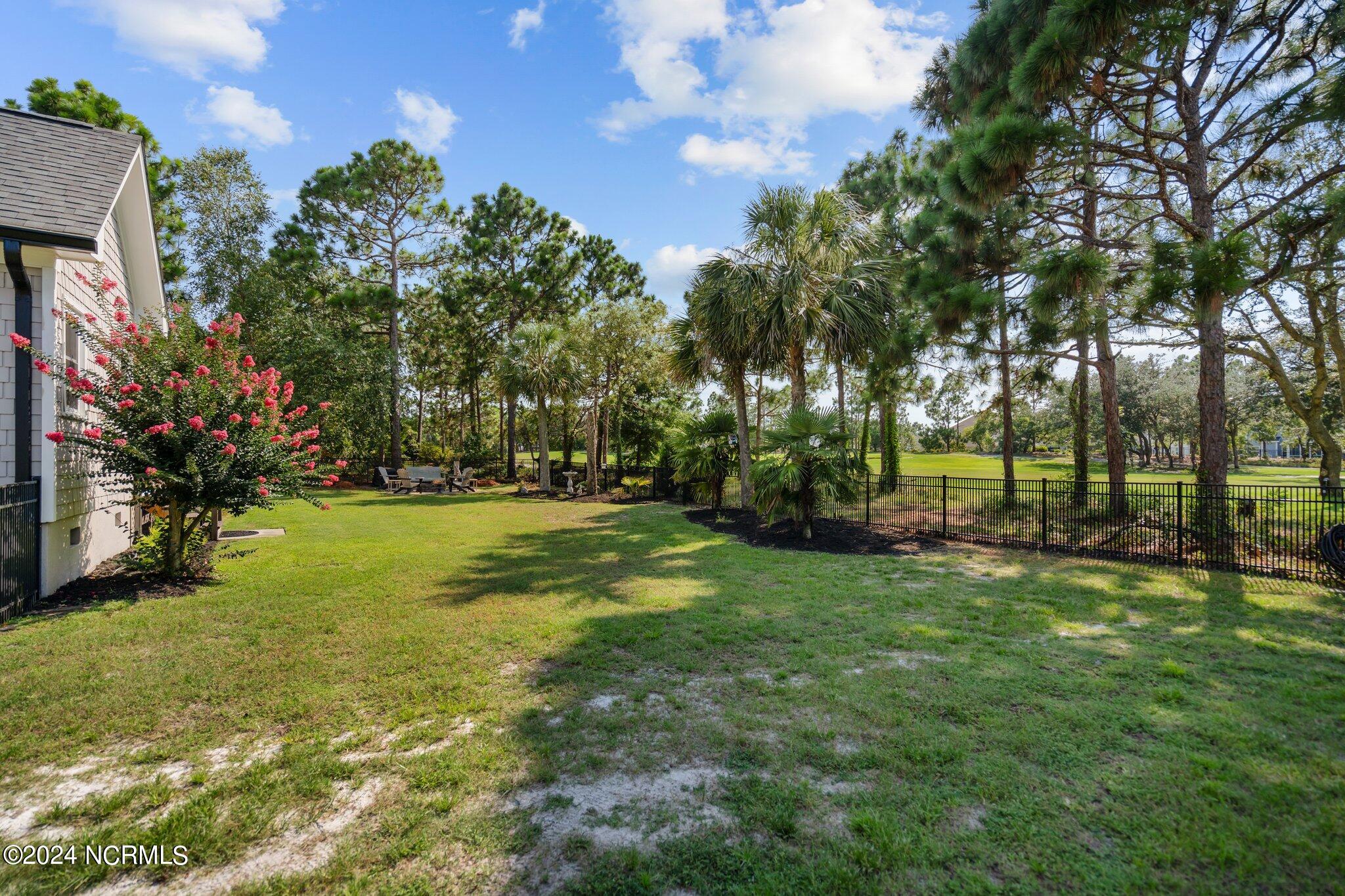 909 Rivage Promenade Wilmington, NC 28412 - Photo 61 of 74 66-web-or-mls-DSC05794