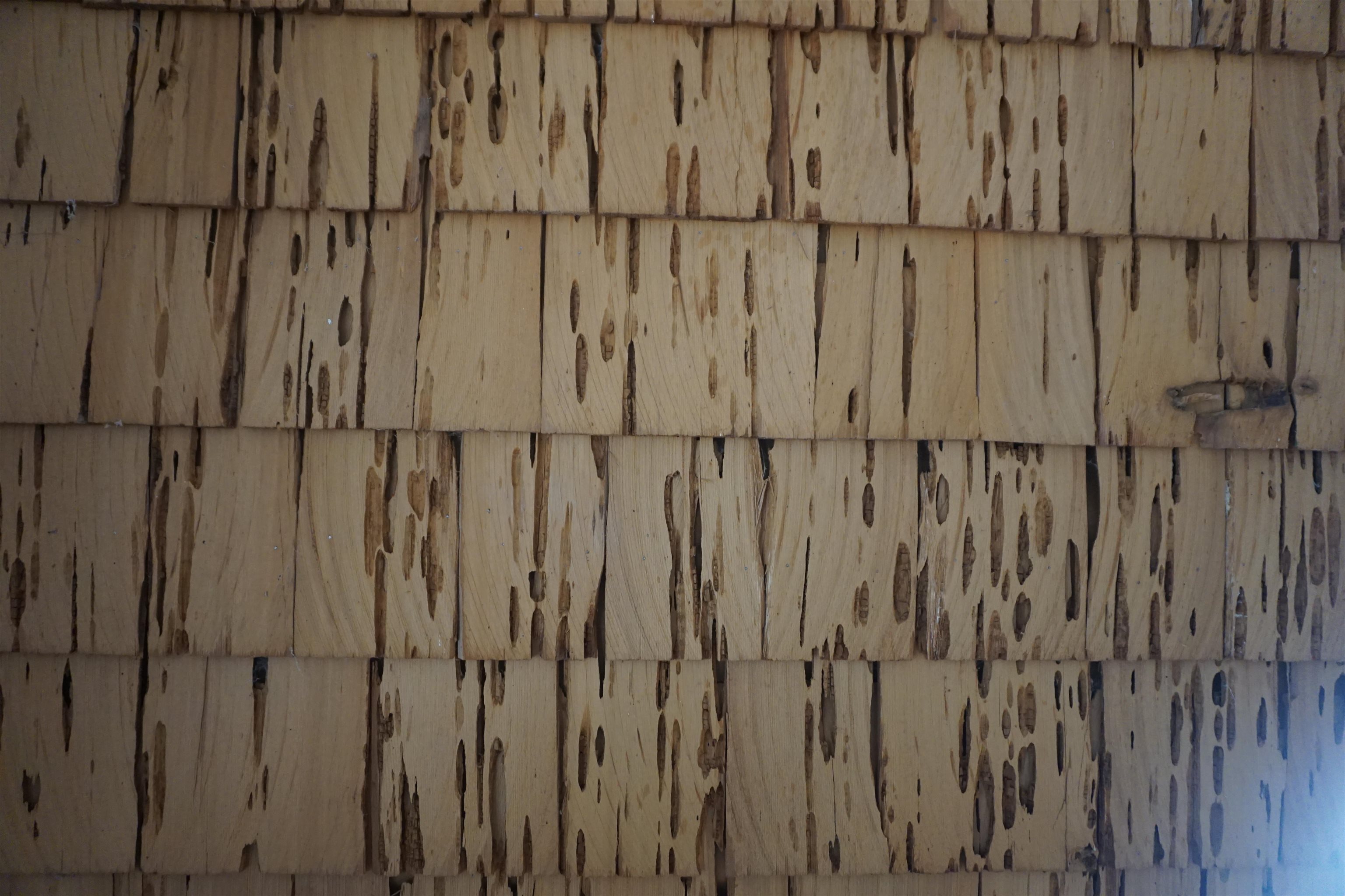 1334 Highlands Road Quincy, CA 95971 - Photo 22 of 47 a view of wooden fence