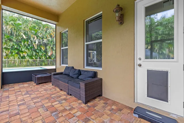 a view of a bunch of flowers