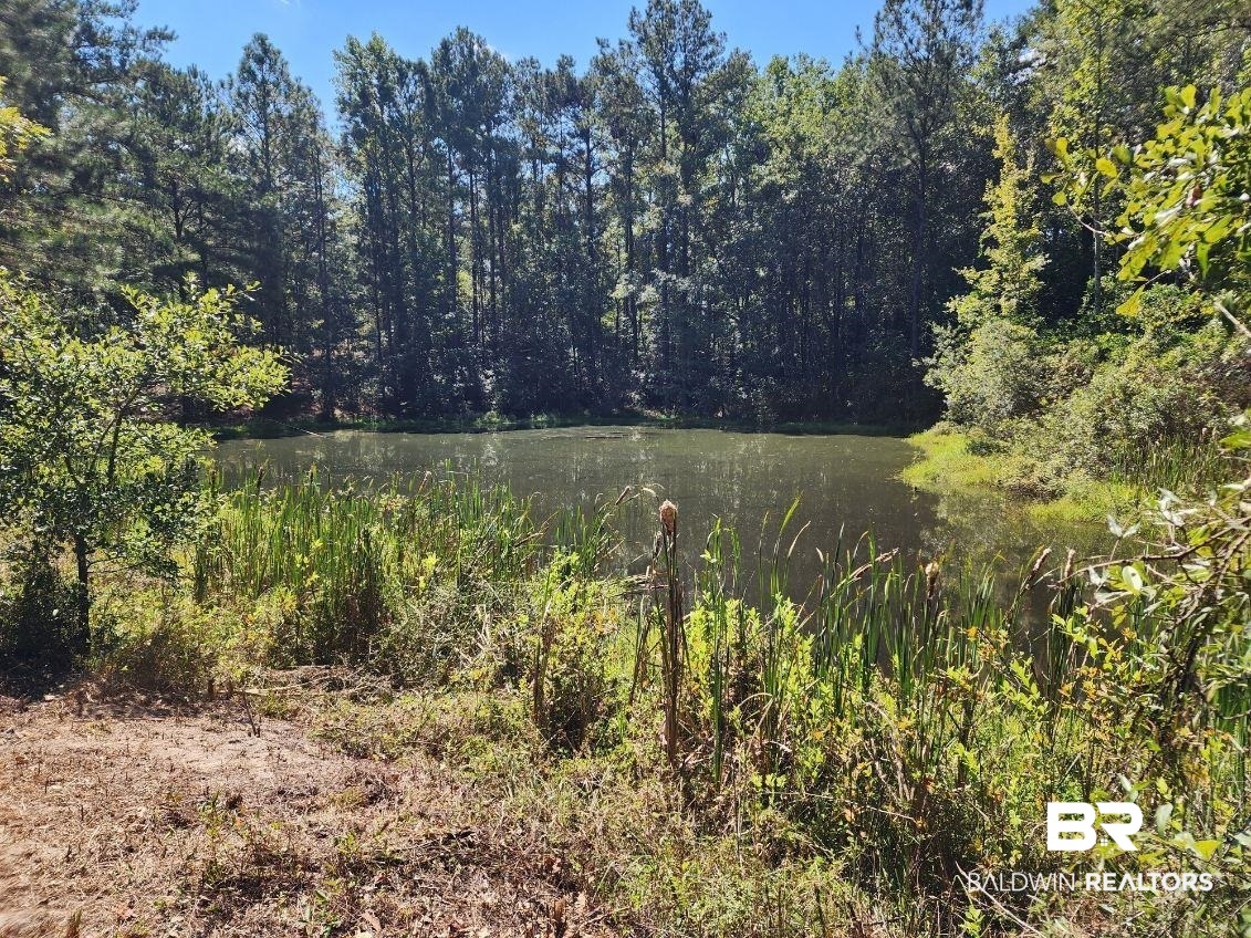 5560 Travis Road Brewton, AL 36426 - Photo 11 of 12