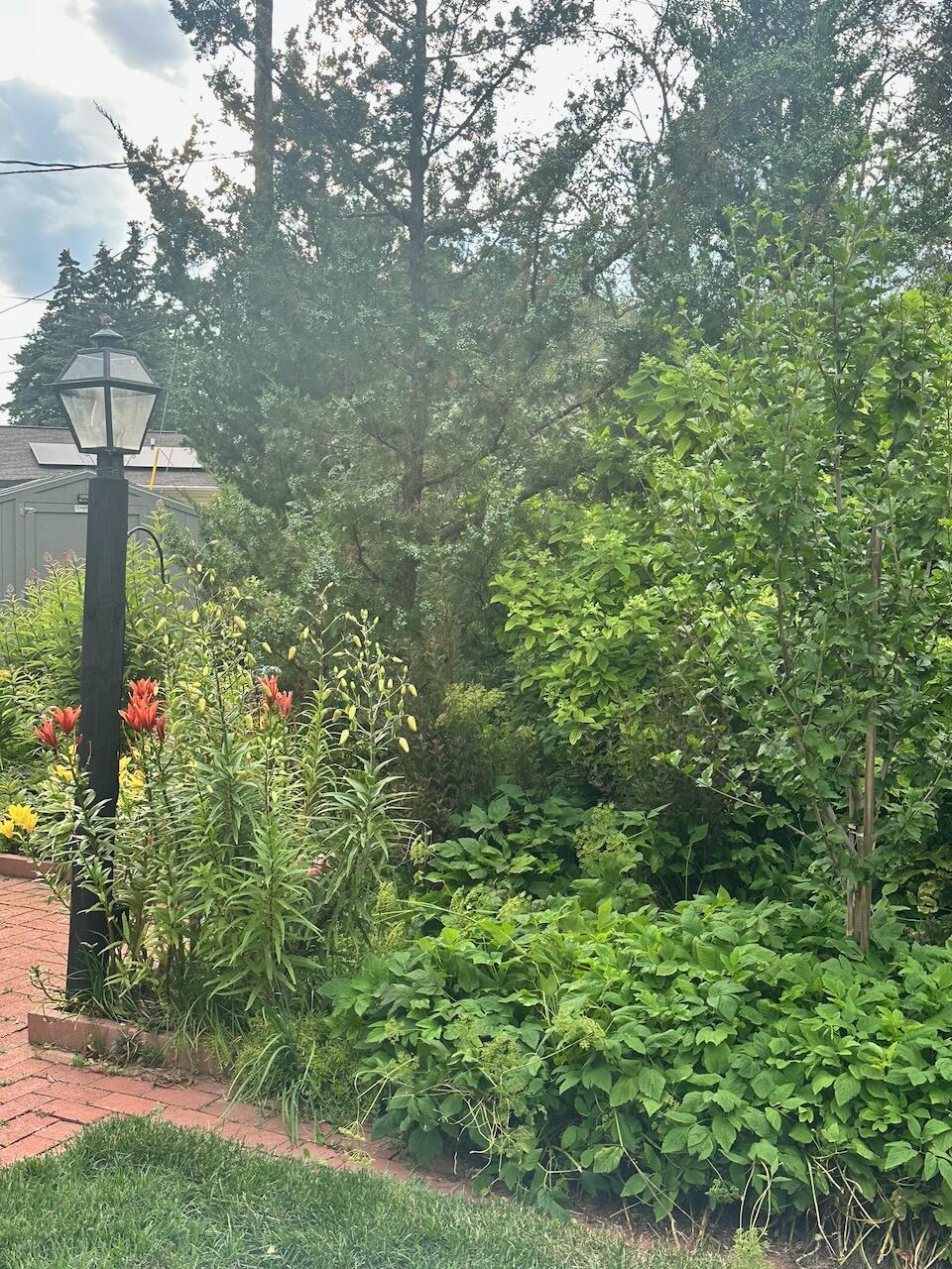 2400 West Cherokee Drive Appleton, WI 54914 - Photo 65 of 78 IMG_2218