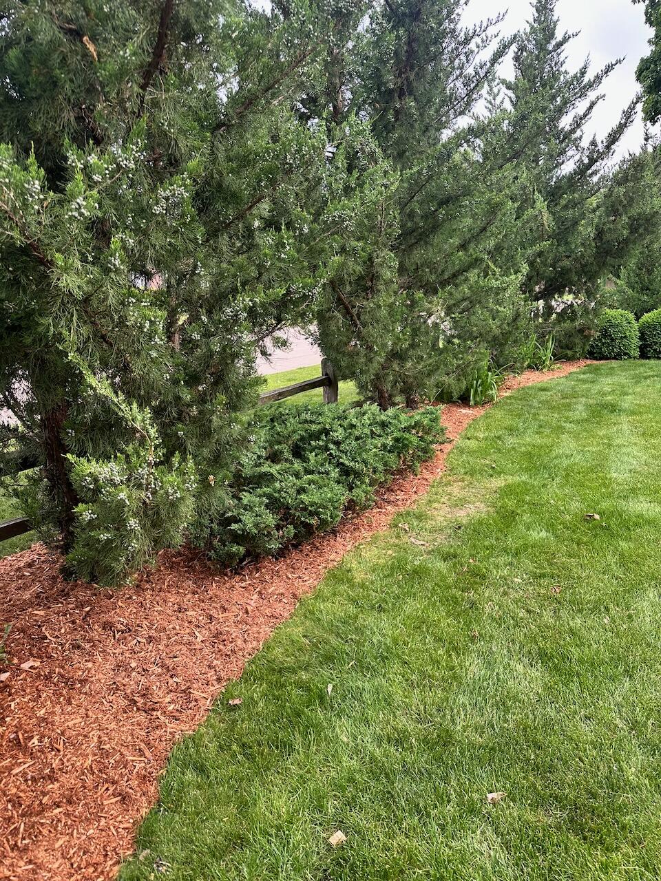 2400 West Cherokee Drive Appleton, WI 54914 - Photo 71 of 78 IMG_3366