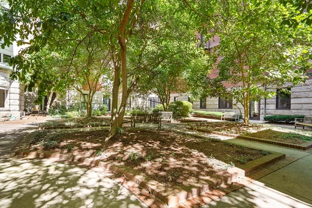 a view of a yard with a tree