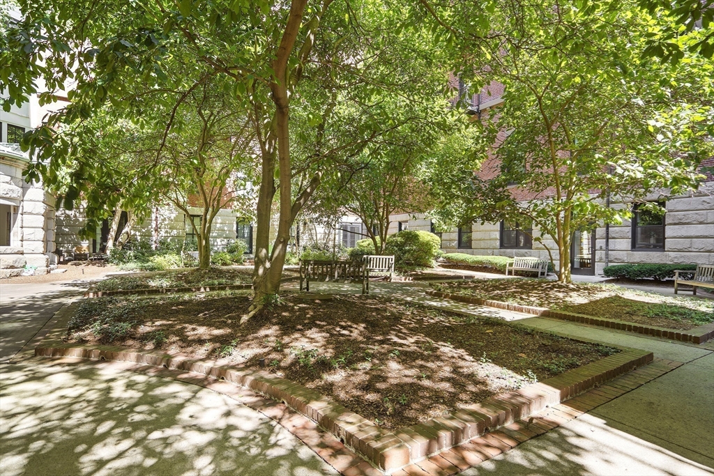 771 Harrison Avenue, Unit 207 Boston, MA 02118 - Photo 19 of 28 a view of a yard with a tree