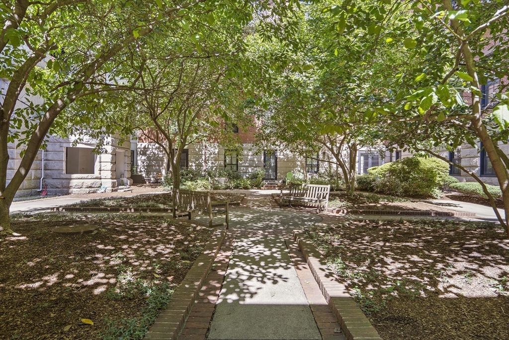 771 Harrison Avenue, Unit 207 Boston, MA 02118 - Photo 20 of 28 a view of yard with trees