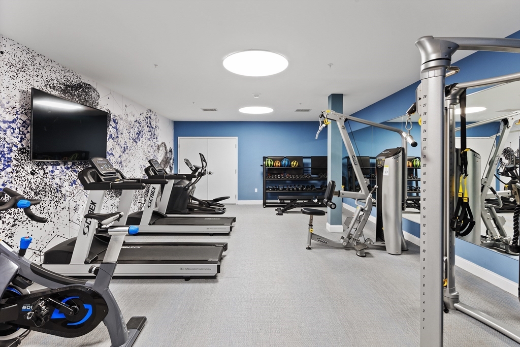 771 Harrison Avenue, Unit 207 Boston, MA 02118 - Photo 21 of 28 a view of a room with gym equipment