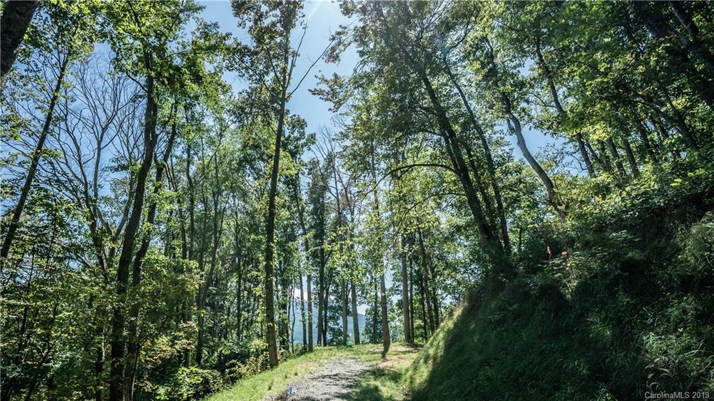 529 Rocky Knob Road Waynesville, NC 28786 - Photo 13 of 18 Gallery Image 13