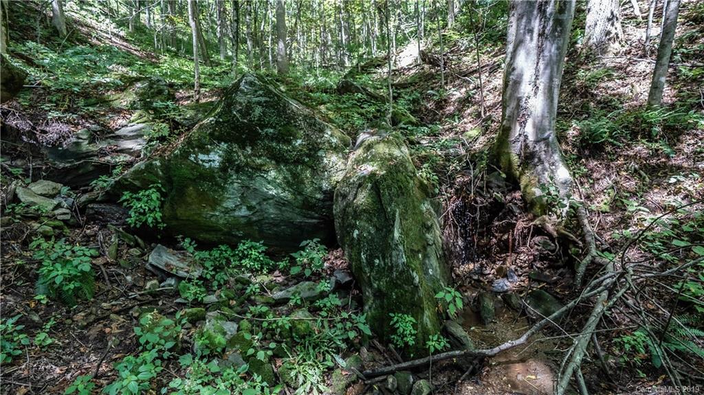 529 Rocky Knob Road Waynesville, NC 28786 - Photo 14 of 18 Gallery Image 14