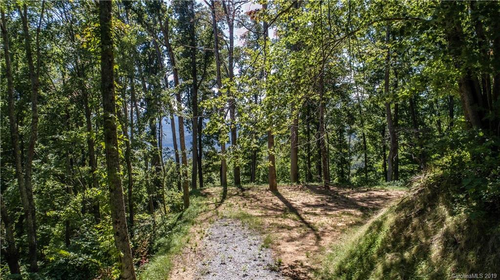 529 Rocky Knob Road Waynesville, NC 28786 - Photo 3 of 18 Gallery Image 3