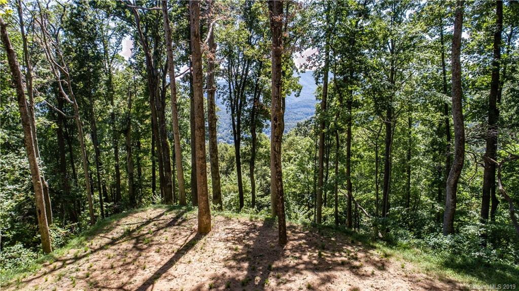 529 Rocky Knob Road Waynesville, NC 28786 - Photo 4 of 18 Gallery Image 4