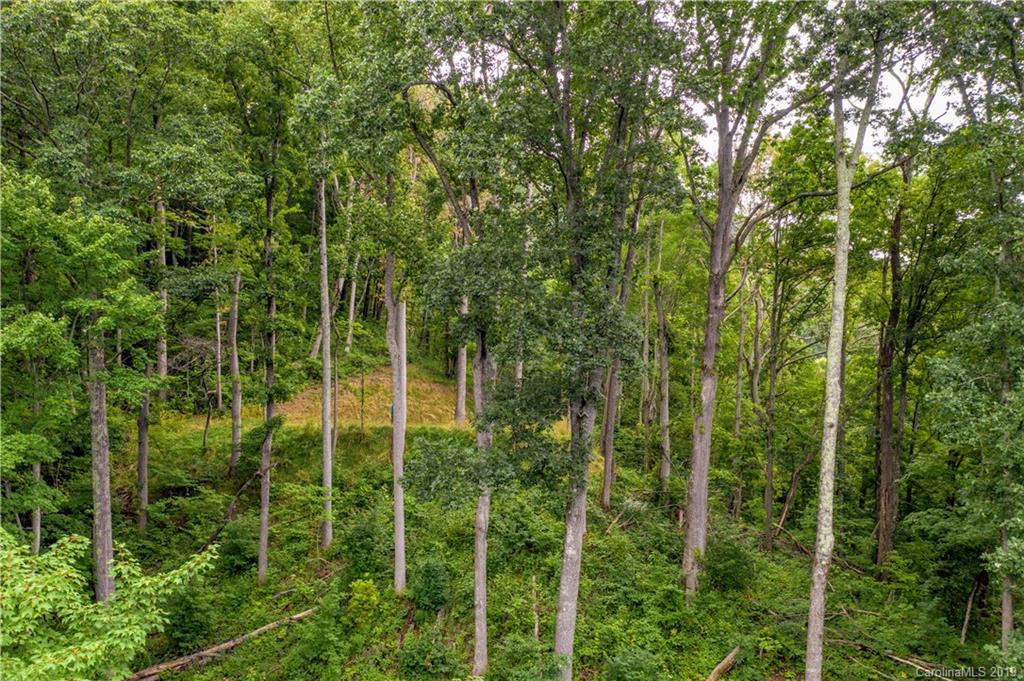 529 Rocky Knob Road Waynesville, NC 28786 - Photo 8 of 18 Gallery Image 8