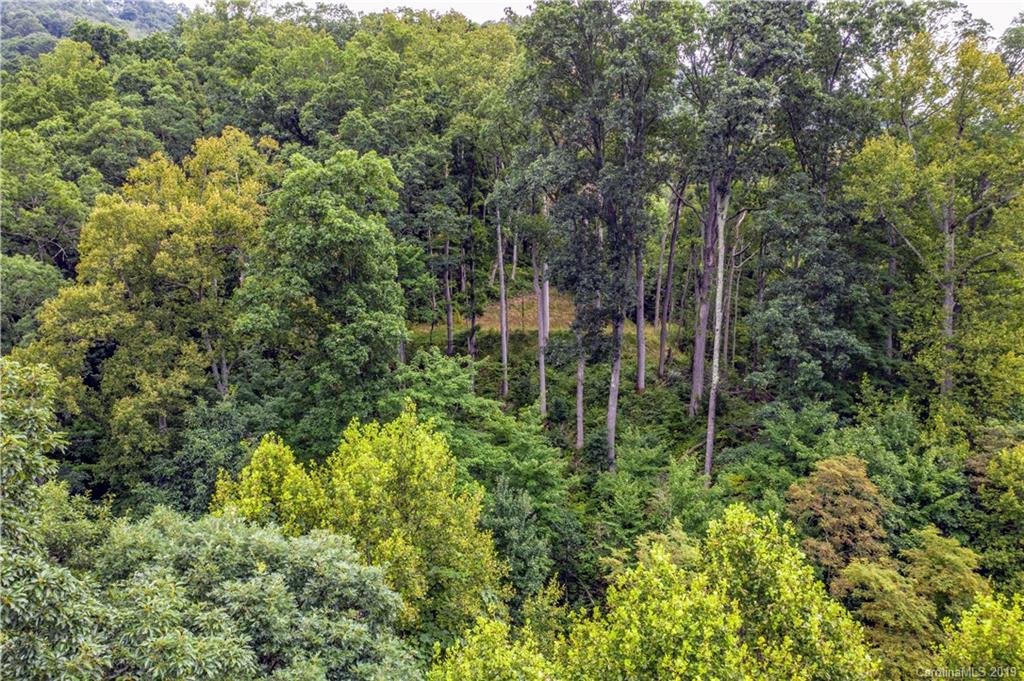 529 Rocky Knob Road Waynesville, NC 28786 - Photo 9 of 18 Gallery Image 9