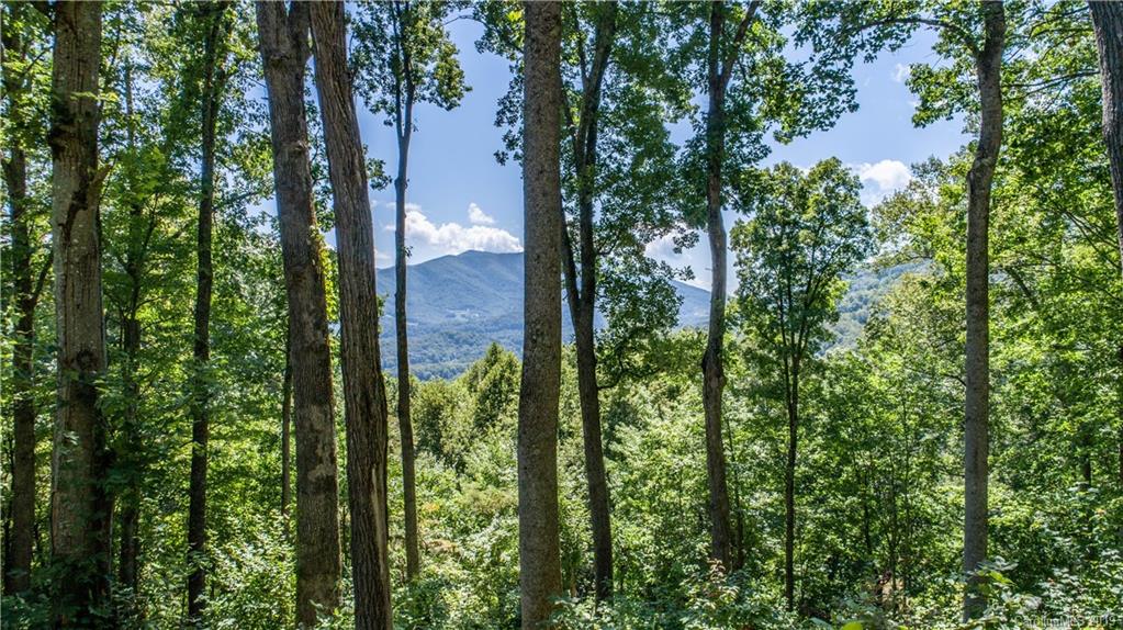 529 Rocky Knob Road Waynesville, NC 28786 - Photo 10 of 18 Gallery Image 10