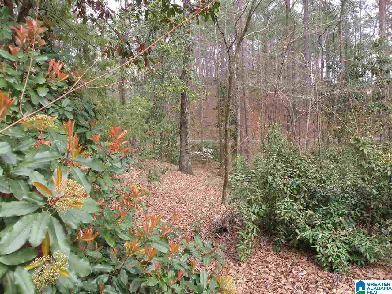 2423 Overhill Road Sylacauga, AL 35150 - Photo 36 of 38