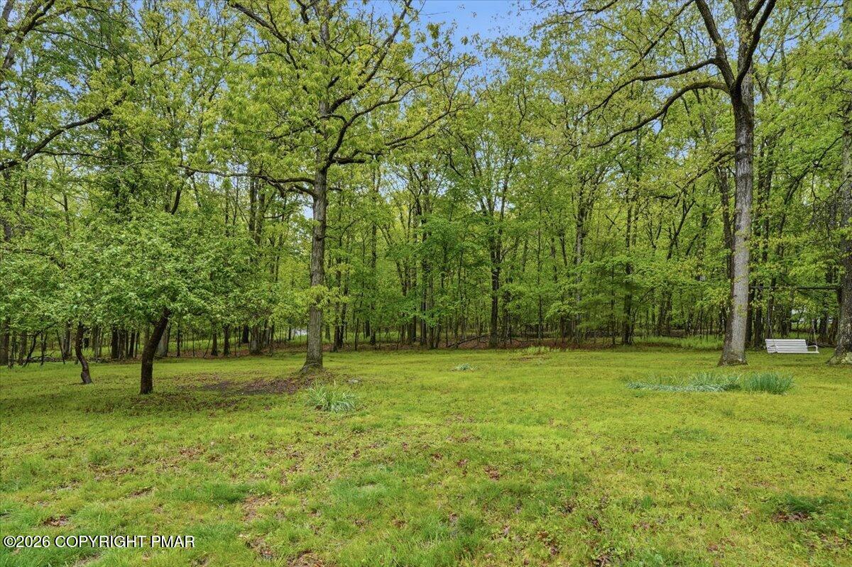 232 Garrity Road Hawley, PA 18428 - Photo 54 of 57 a view of a grassy field with trees