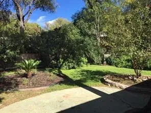 a view of a backyard