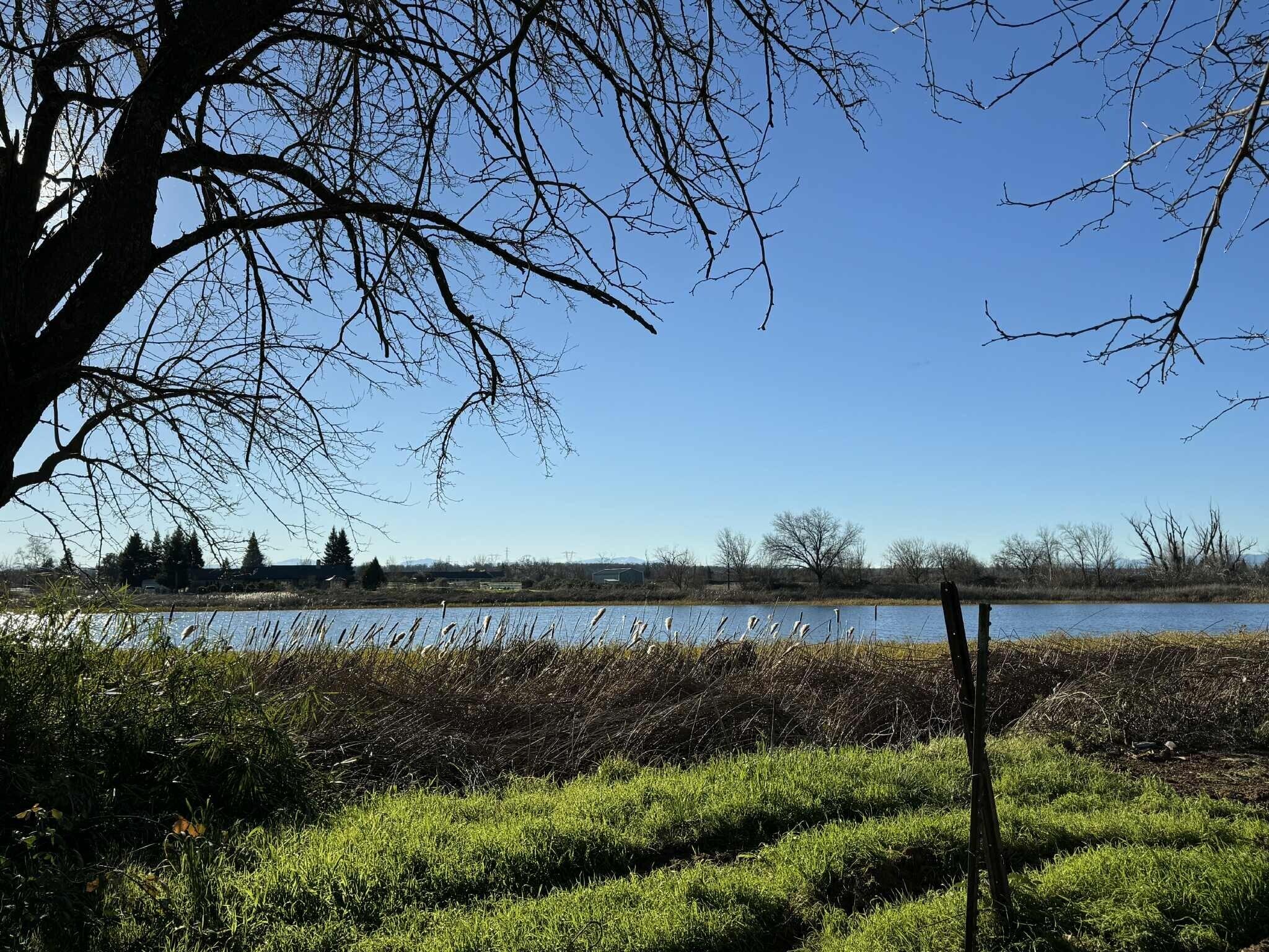 22148 Lone Tree Road Anderson, CA 96007 - Photo 7 of 20 a view of a lake with a house in background