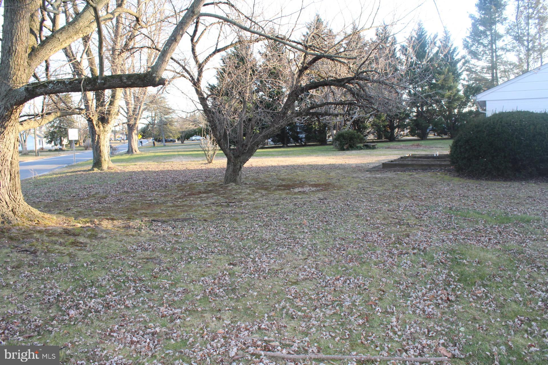 194 Dyke Branch Road Dover, DE 19901 - Photo 8 of 41 Front yard