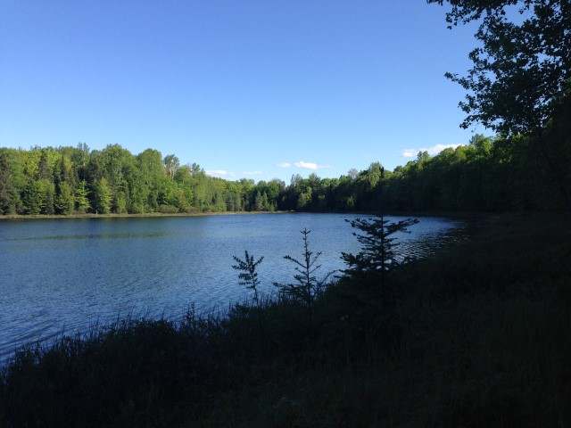 8500 Palmer Road Presque Isle, WI 54557 - Photo 6 of 20 Gallery Image 6