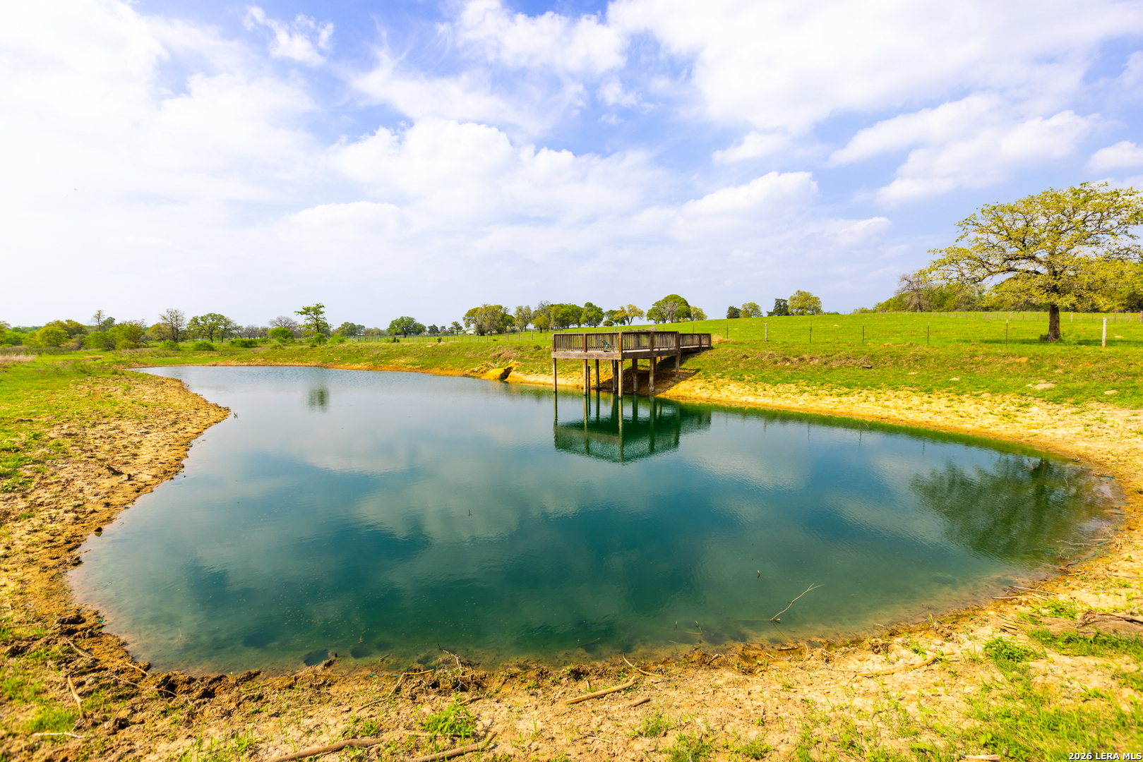 73 Acres County Road Harwood, TX 78632 - Photo 14 of 17