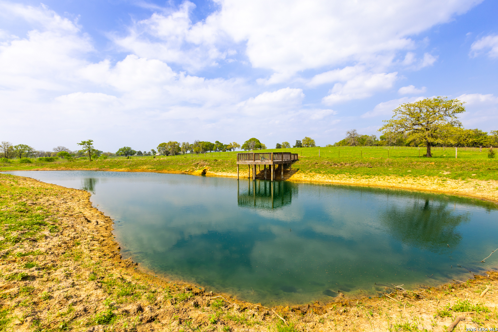 73 Acres County Road Harwood, TX 78632 - Photo 15 of 17