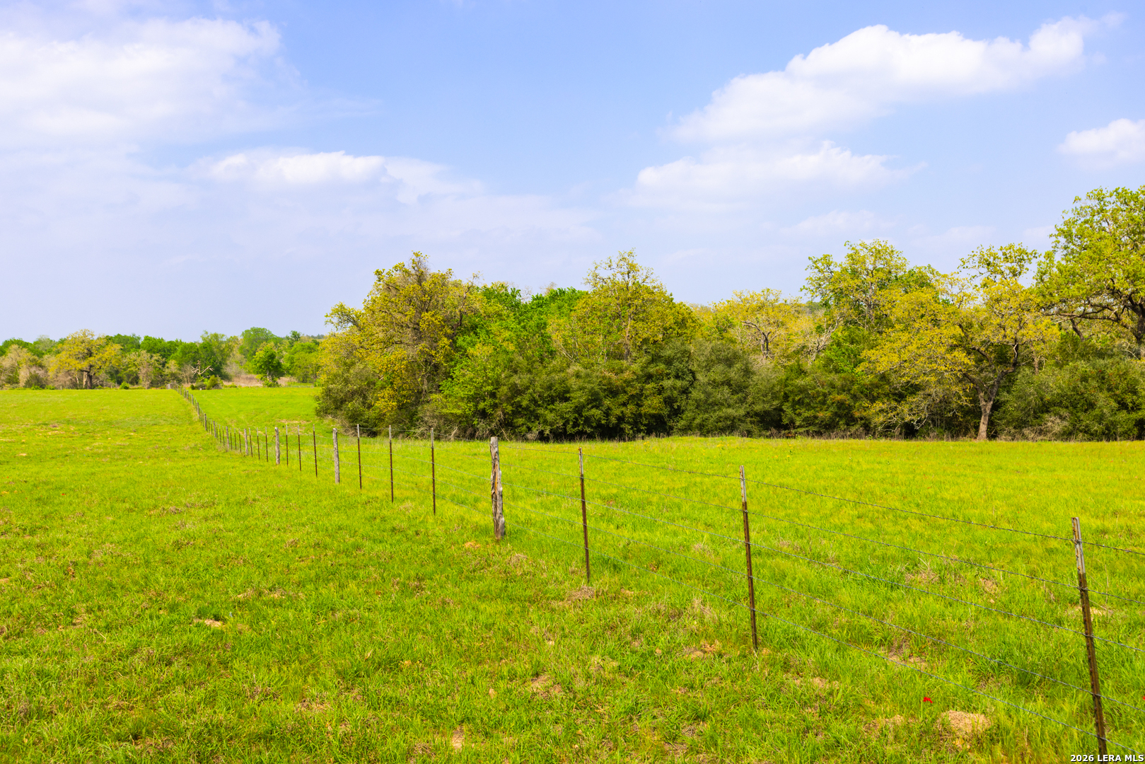 73 Acres County Road Harwood, TX 78632 - Photo 5 of 17