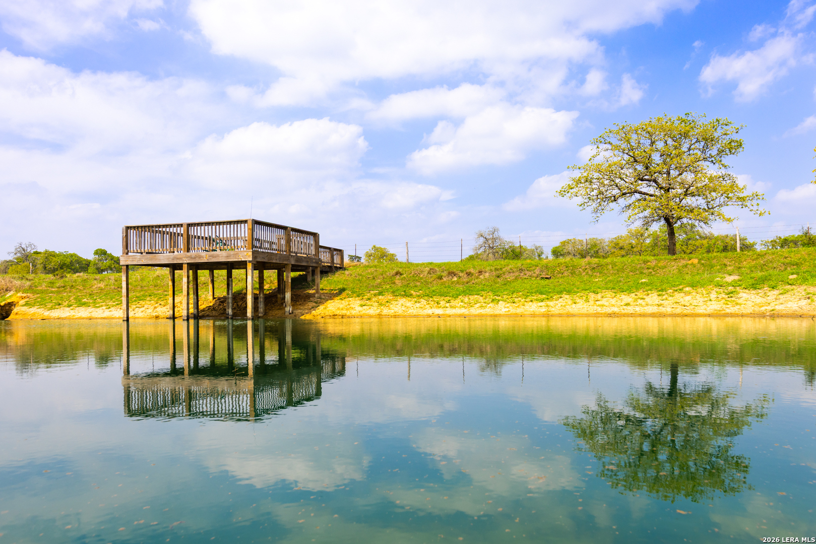 73 Acres County Road Harwood, TX 78632 - Photo 7 of 17
