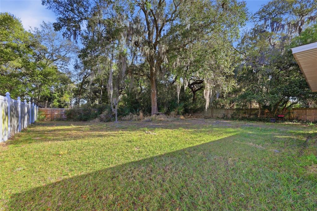 7327 Holly Creek Road Mount Dora, FL 32757 - Photo 19 of 19
