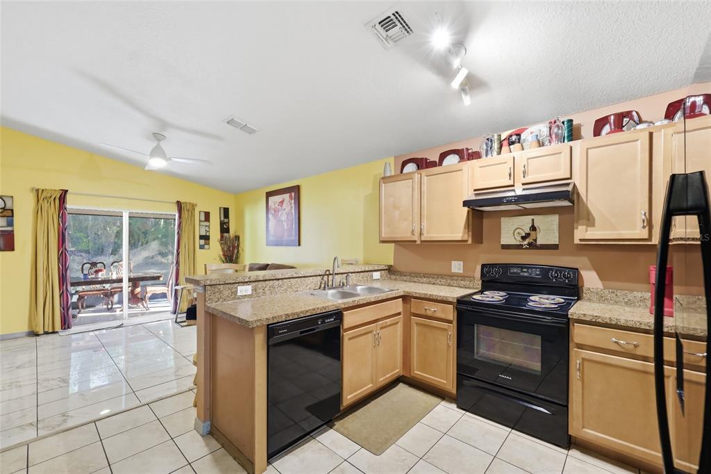 7327 Holly Creek Road Mount Dora, FL 32757 - Photo 7 of 19