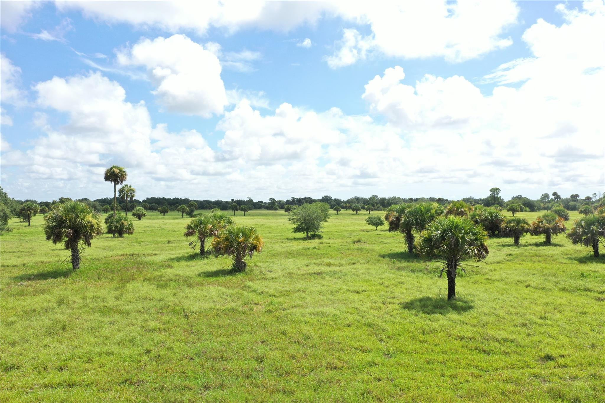 0 Co Road Clewiston, FL 33440 - Photo 10 of 40 Photo 3