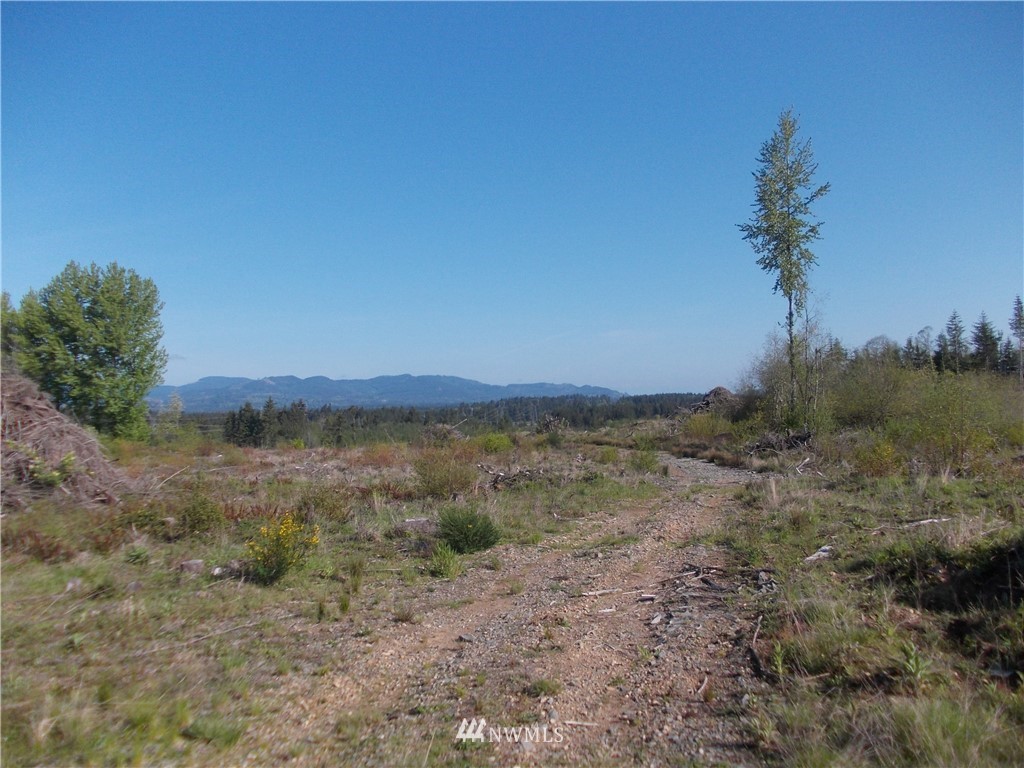 5000 140th Avenue Southwest Rochester, WA 98579 - Photo 1 of 12