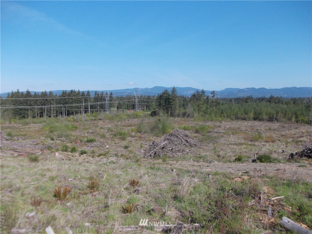 5000 140th Avenue Southwest Rochester, WA 98579 - Photo 2 of 12