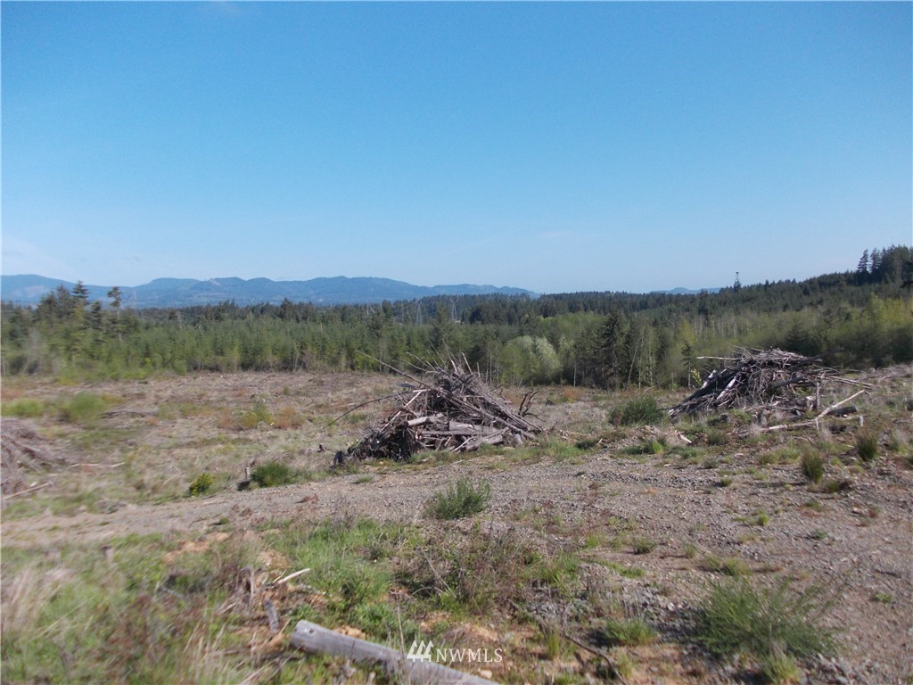 5000 140th Avenue Southwest Rochester, WA 98579 - Photo 11 of 12