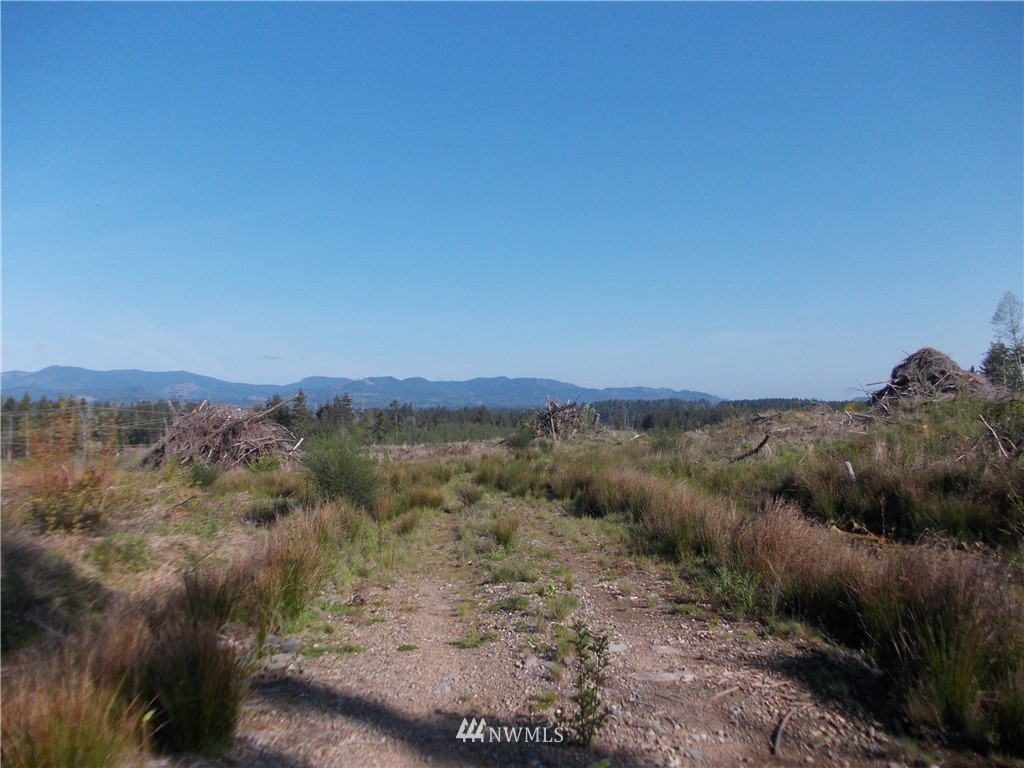 5000 140th Avenue Southwest Rochester, WA 98579 - Photo 12 of 12