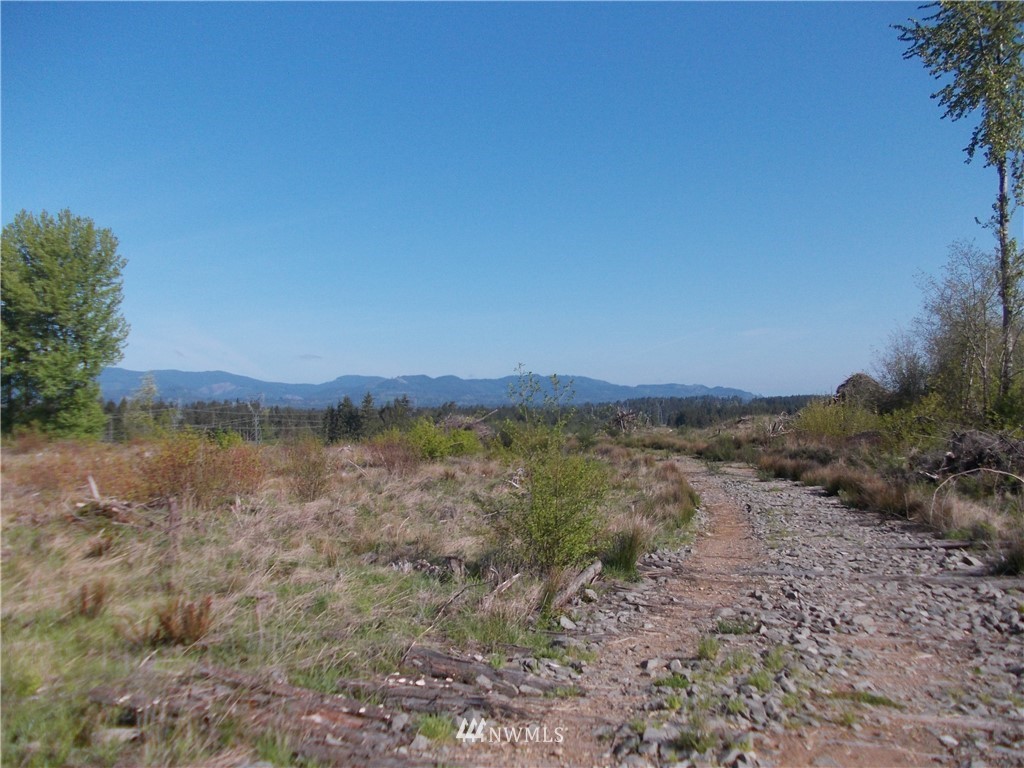 5000 140th Avenue Southwest Rochester, WA 98579 - Photo 4 of 12