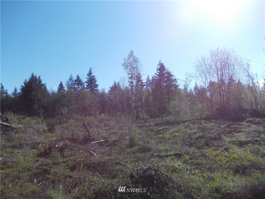 5000 140th Avenue Southwest Rochester, WA 98579 - Photo 6 of 12