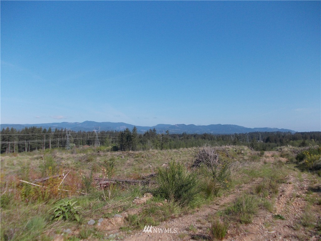 5000 140th Avenue Southwest Rochester, WA 98579 - Photo 7 of 12