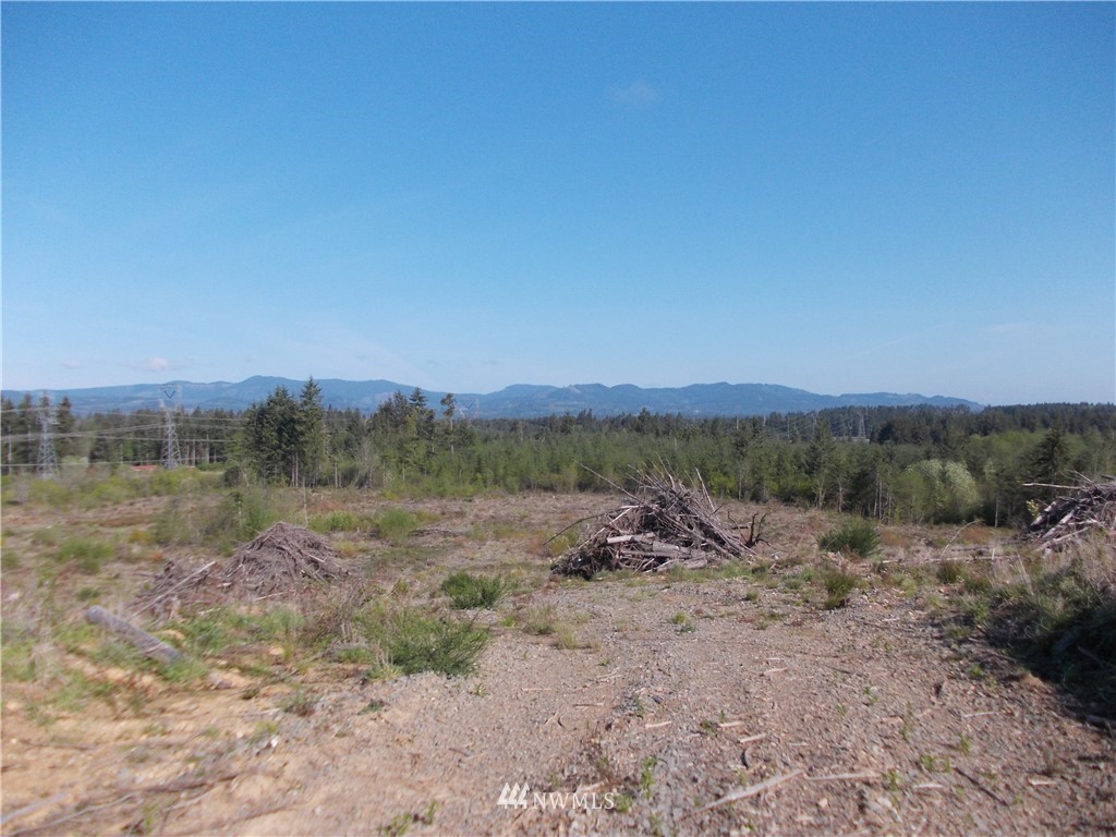 5000 140th Avenue Southwest Rochester, WA 98579 - Photo 9 of 12
