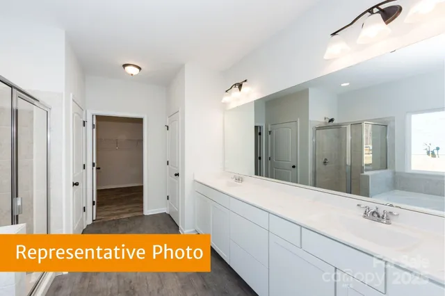a bathroom with a sink a mirror and a shower