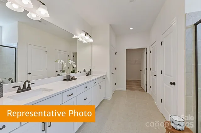 a bathroom with a sink a mirror and a shower