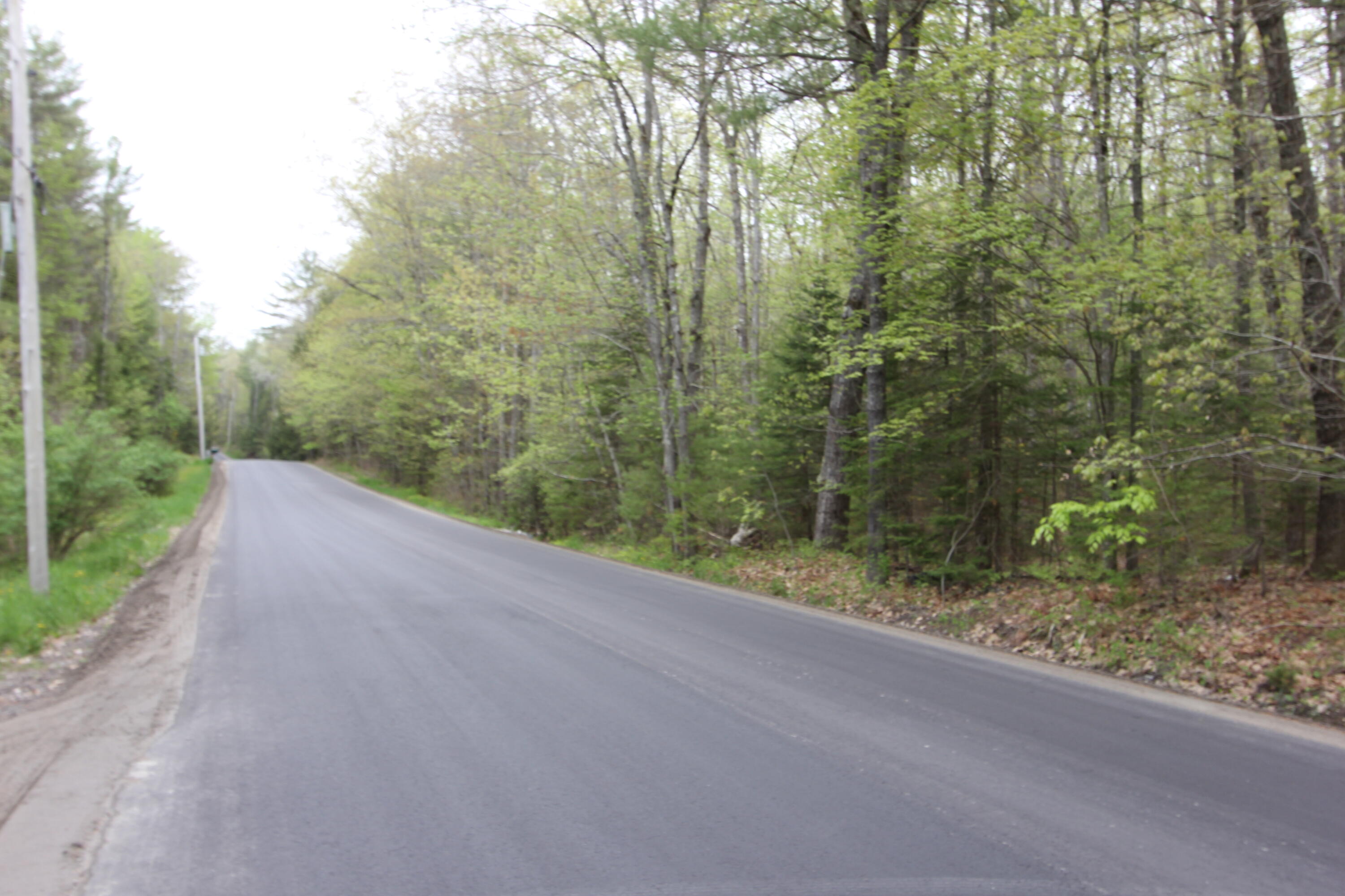 Lot 56 Carding Machine Road Bowdoinham, ME 04008 - Photo 7 of 9 IMG_9937
