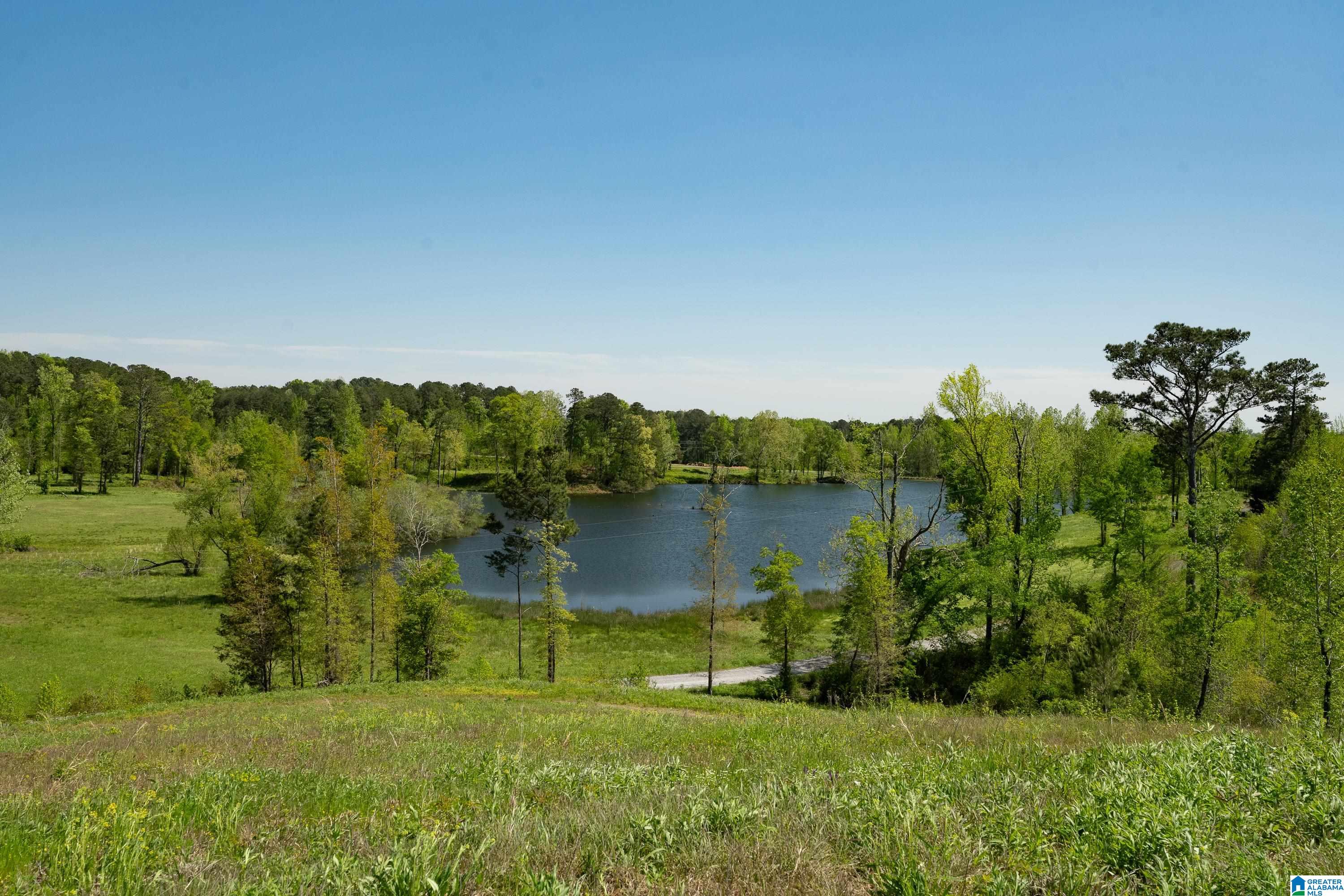 935 Shelby Lakes Ranch Way, Unit 28 Shelby, AL 35143 - Photo 14 of 37