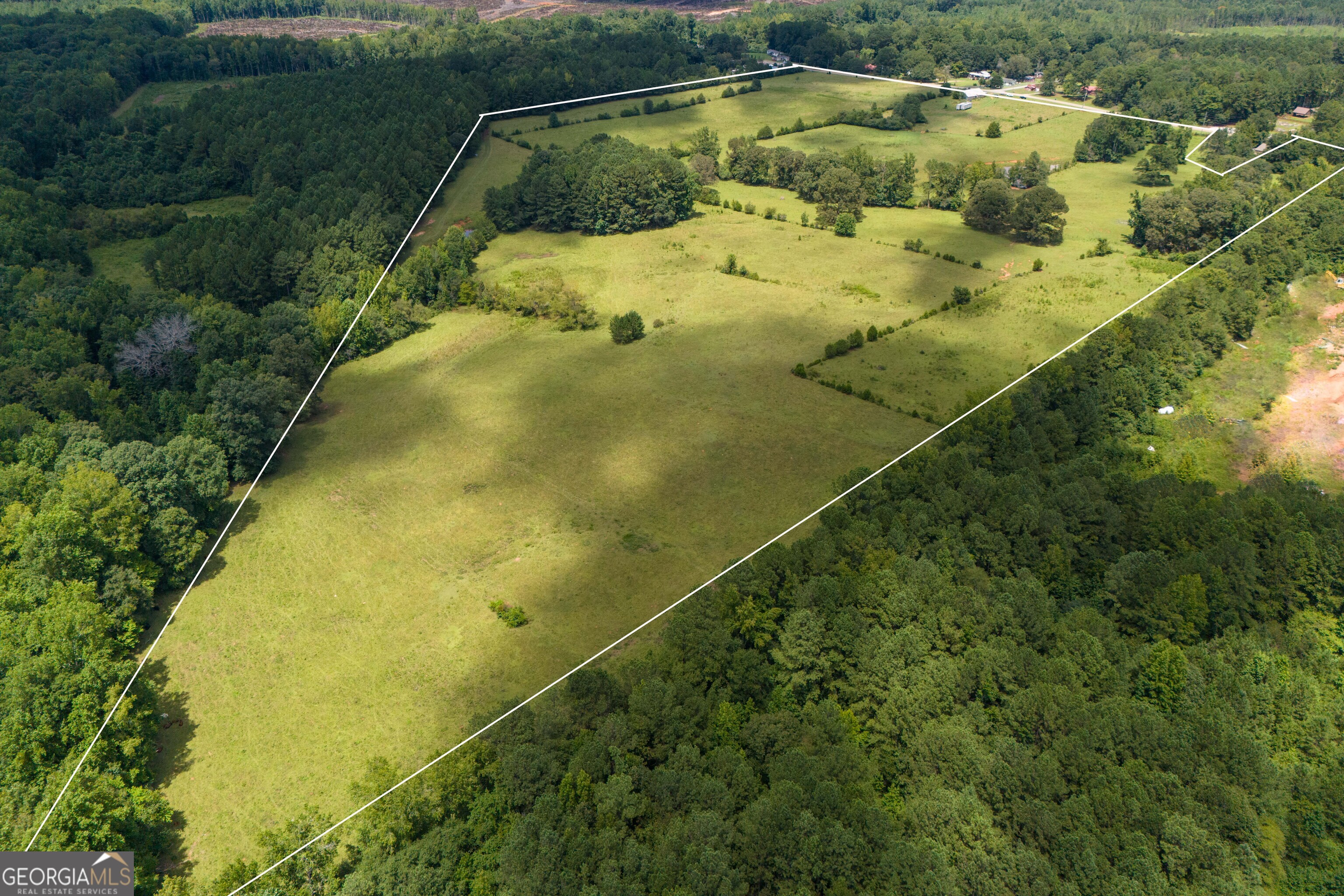 a view of a swimming pool with a yard