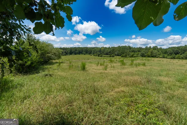 $1,950,000 | 132 Hines Road, LaGrange, GA 30241