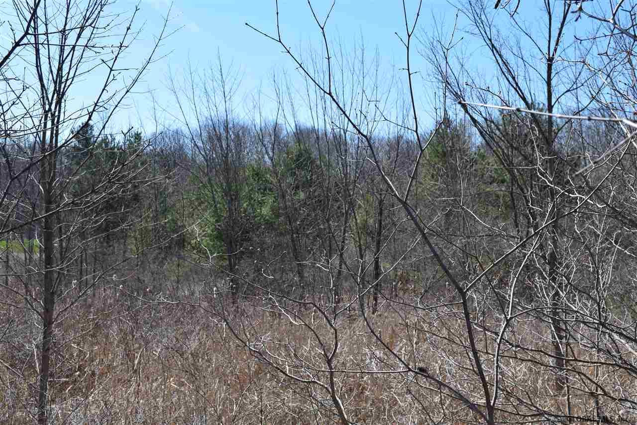 0 County Rte 76 Stillwater, NY 12170 - Photo 16 of 24 Photo 16