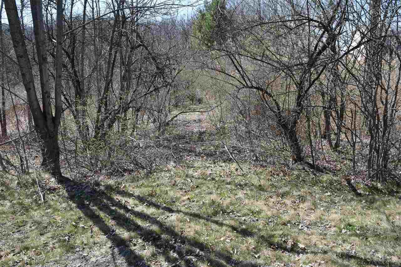 0 County Rte 76 Stillwater, NY 12170 - Photo 3 of 24 Photo 3