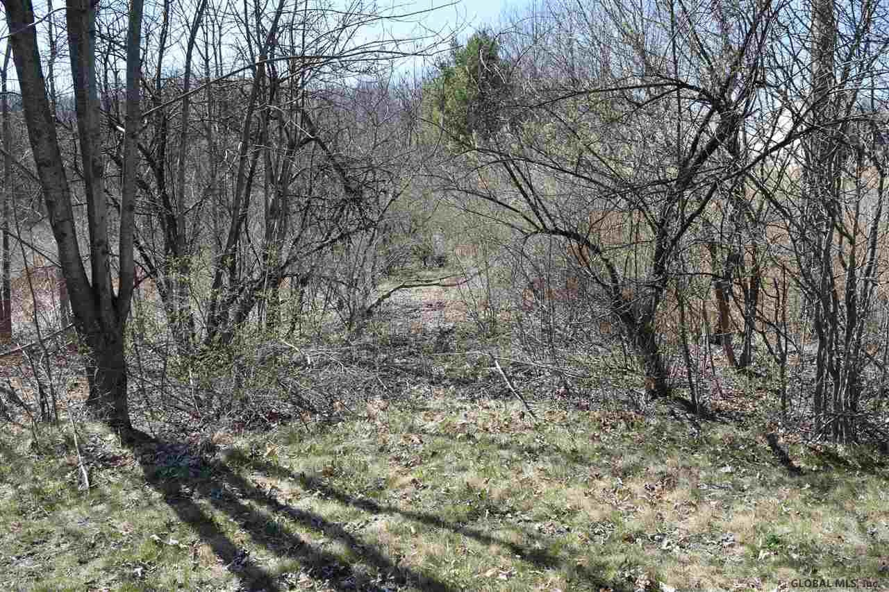 0 County Rte 76 Stillwater, NY 12170 - Photo 4 of 24 Photo 4