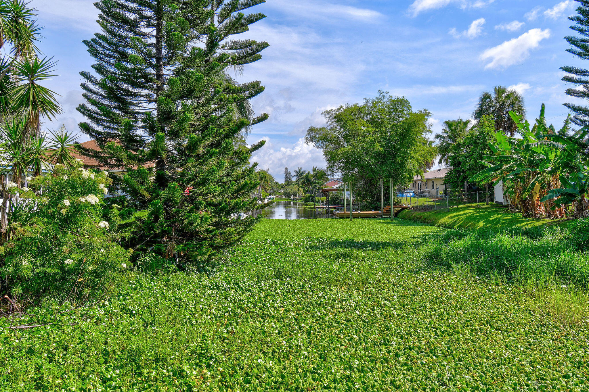 6698 Riparian Road Lake Worth, FL 33462 - Photo 50 of 52 View to Canal